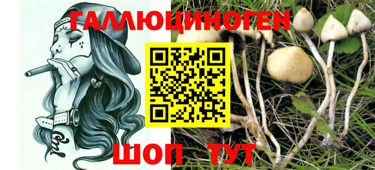 Галлюциногенные грибы мухоморы  Галлюциногенные грибы мицелий  Балтийск  Вход с VPN 