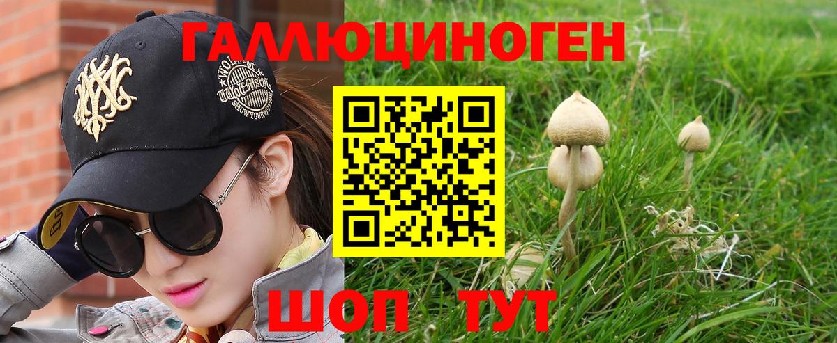 Галлюциногенные грибы Cubensis Балтийск